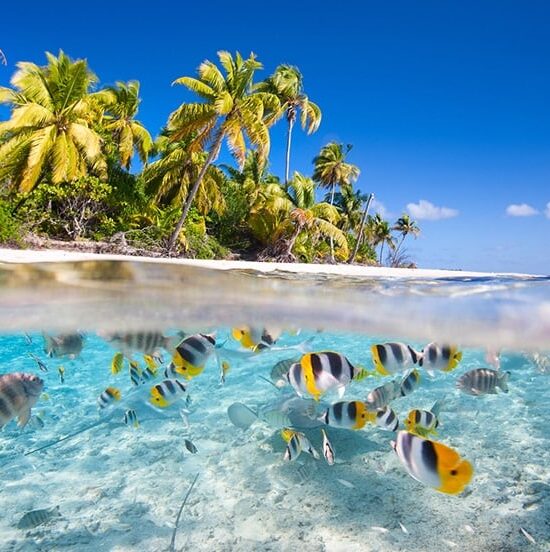 December School Holidays Maldives & Doha Group Tour, 31 Dec 2026 - 08 Jan 2027