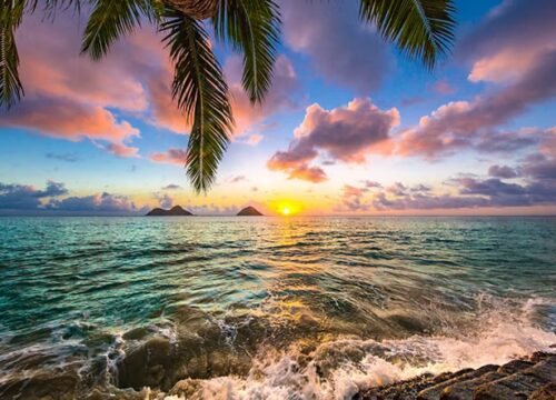 December Holidays, Hawaii & Seattle