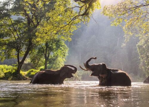 March School Holidays 10 Night Sri Lanka Group Tour, 20 Mar - 01 Apr 2027