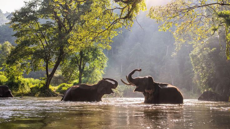 March School Holidays 10 Night Sri Lanka Group Tour, 20 Mar - 01 Apr 2027